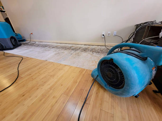 Professional Water Extraction technician working in Bosler, WY